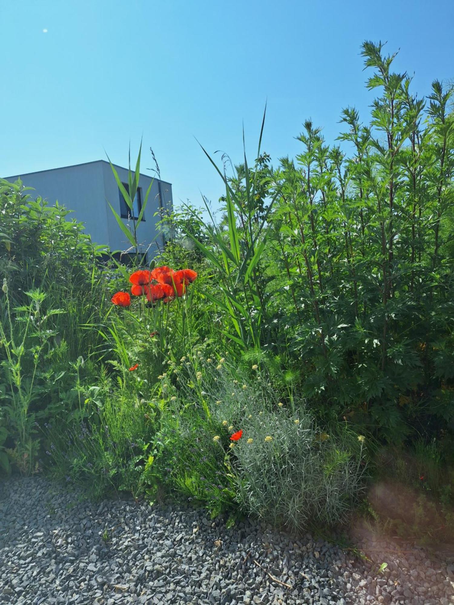 Luxury Suites Oosterwold Almere Dış mekan fotoğraf
